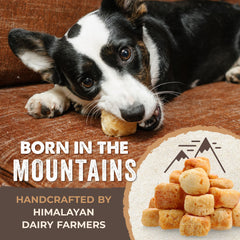 Mighty Paw Yak Cheese Puffs ingredients closeup highlights three simple ingredients.