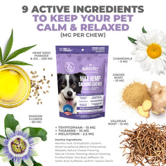 Mighty Petz MAX dog enjoying chews - supports relaxed behavior after routines.