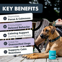 Mighty Paw Waggables jar closeup highlights vet-formulated calm for dogs