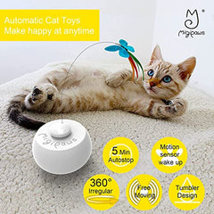 Migipaws interactive cat toy with feather movement excites chasing and pounce.