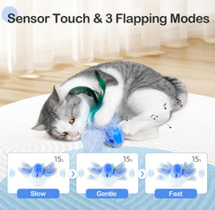 Migipaws flappy-bird-toy elastic-string-setup shows hanging action for active indoors fun daily.
