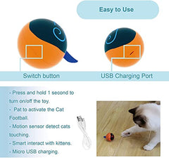 Migipaws fluffy-tail-attachment shown for interactive fun