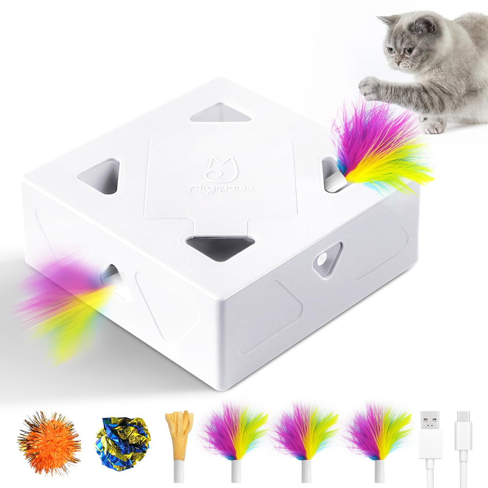 Migipaws Migibox top view—an inviting indoor cat toy that sparks active play.
