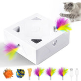 Migipaws Migibox top view—an inviting indoor cat toy that sparks active play.