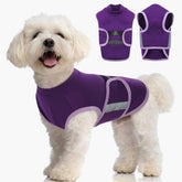 MIGOHI Dog Anxiety Relief Coat worn showing secure calming fit for a quieting wrap
