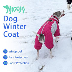 MIGOHI harness friendly back zipper design for quick on/off and leash use.