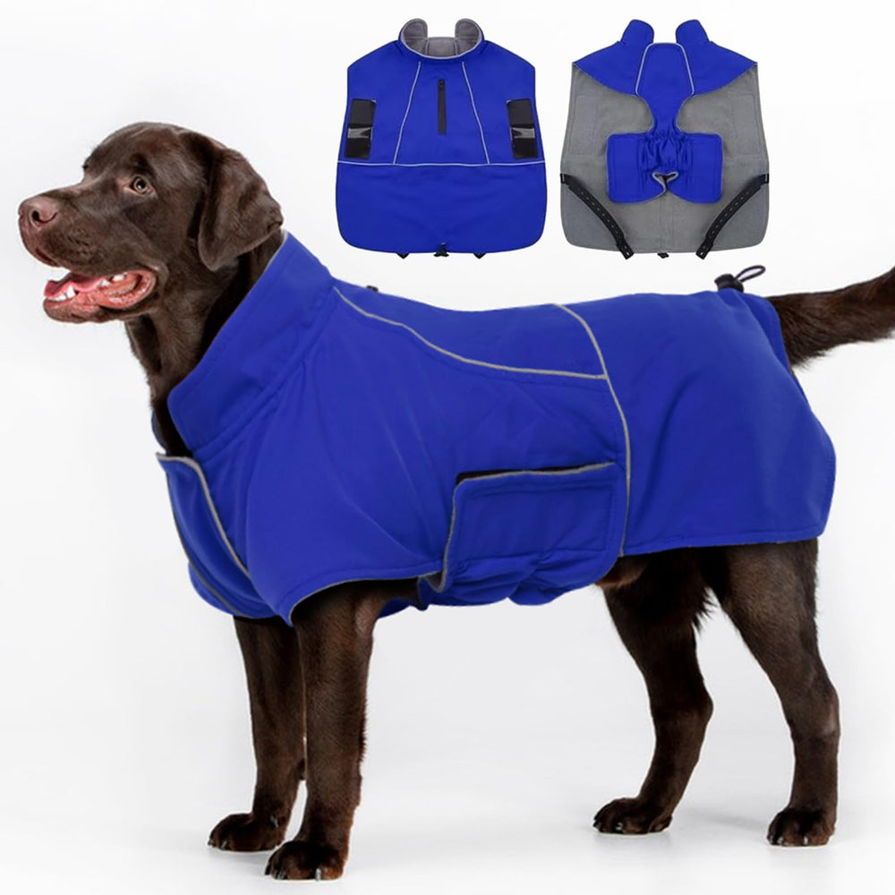 MIGOHI dog coat waterproof-windproof blue 2XL worn on a rainy hike