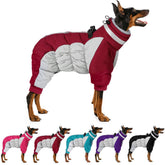 MIGOHI full-body dog coat front view with warm fleece lining for cold-weather walks.