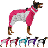 MIGOHI full body dog coat back view with reflective trim for safer night walks.