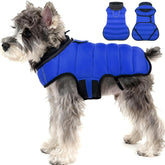 MIGOHI lightweight blue dog coat for chilly days and easy movement.