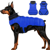 MIGOHI lightweight dog coat blue showing slim warmth for large dogs on chilly days.