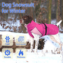 MIGOHI rosepink windproof dog coat worn during a blustery outdoor stroll
