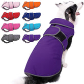 MIGOHI waterproof outer layer protects dogs during rain and snow