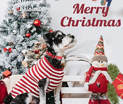 Mihqy Christmas Dog Collar with matching leash shows coordinated gift-ready setup.
