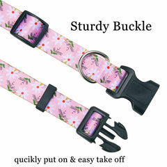 Mihqy collar metal D-Ring detail highlights secure leash attachment
