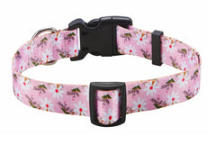 Mihqy collar on dog during walk emphasizes durable nylon for everyday adventures