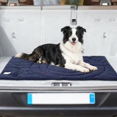 MikooMikoo Dog Travel Mat in camping setup for outdoor adventures.