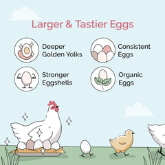 Mile Four corn-free soy-free feed label signals non-medicated, clean ingredients