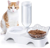 MILIFUN double-dog-bowls-setup: convenient 2-in-1 feeding and drinking station for small and medium pets.