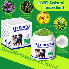 Mimo Style meat-flavored dog dental powder tub appeals to dogs during meals.