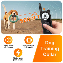 MIMOFPET boundary crossing alert demonstrates boundary warning beeps
