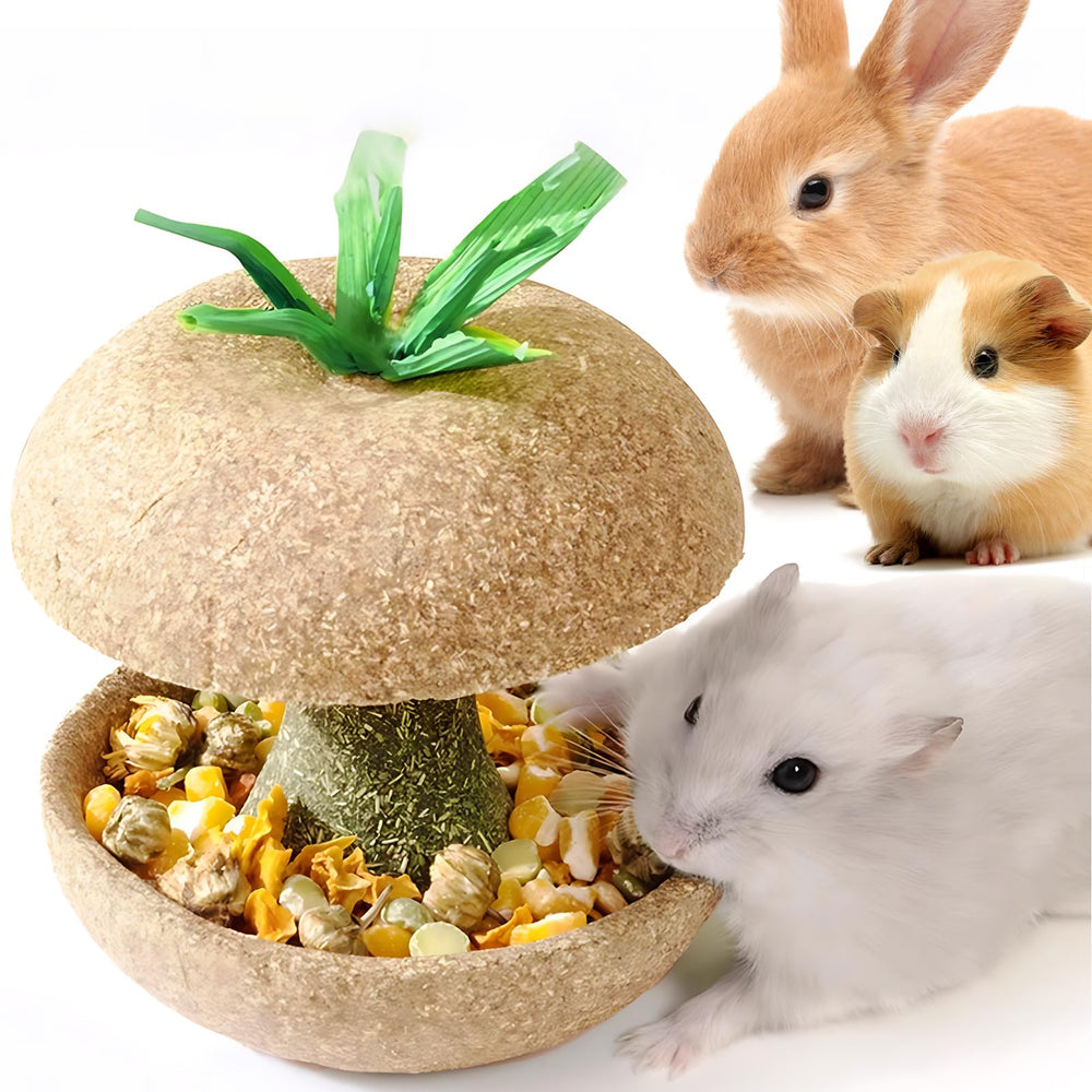 mini&moe Apple Core Hamster Chew for safe chewing and foraging fun