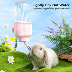 mini&moe leakproof design prevents spills during cage activity.