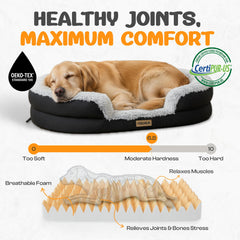 Miorun bouclé fabric closeup highlights modern, cozy dog couch appeal.