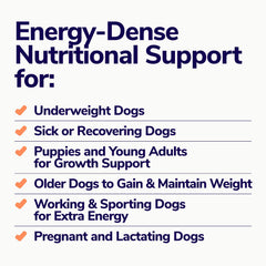 Miracle Vet dog chews in action providing extra energy during play.