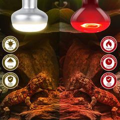 MISDOOD bearded dragon habitat lighting helps create a realistic day-night cycle.