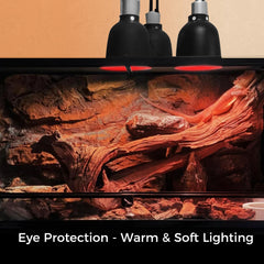 MISDOOD UVA daylight lamp provides natural daytime rays for exploration and activity.