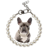 MISS PET 0.55-inch big pearl dog collar close-up with party-photo shine