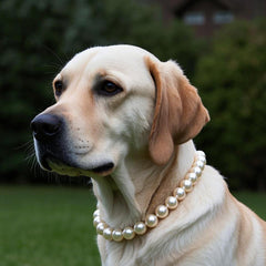 MISS PET pearl collar on dog at garden party, event-ready style