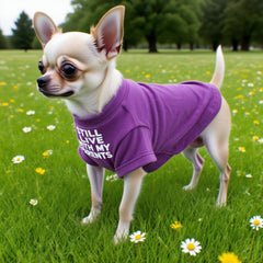 MISS PET French Bulldog shirt eye-catching color for standout outings