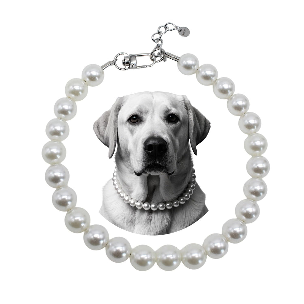 MISS PET pearl collar with steel wire rope for durable, stylish large dogs.