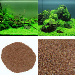 MISUHALOU aquarium grass plant growth closeup highlighting rapid greening.