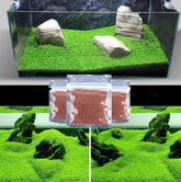 MISUHALOU aquarium grass plant pack cover showing ready-to-use starter for a lush fish tank.