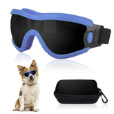 Mitubati dog goggles small breed with blue frame provide eye protection during outdoor adventures.