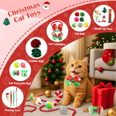 Mity rain Cat Advent Calendar 2025 day 2 bell toy invites curious indoor pounces