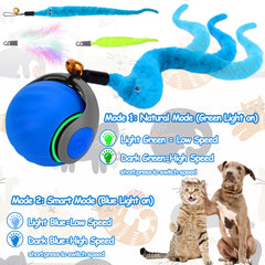 Mity Rain interactive cat toy ball with feather tails boosts curiosity during play
