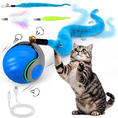 Mity Rain interactive cat toy ball front view for engaging indoor play and exercise
