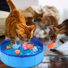 Mity rain Ocean-themed Cat Pool encourages visual tracking and activity.