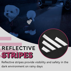Miucat reflective strips boost night visibility for safer evening dog walks.