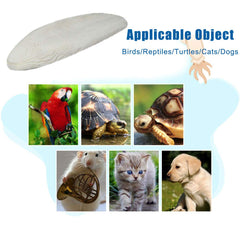 Mivofun cuttlebone shows natural yellow spots and dried texture.