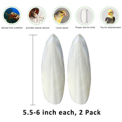 Mivofun 3in1 holder shows compact, clean setup for cuttlebone.