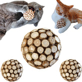miwoowim cat ball toy close-up showcasing silvervine for indoor play and exercise