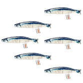Miwoowim saury fish toy pack closeup shows lifelike texture for engaging indoor play