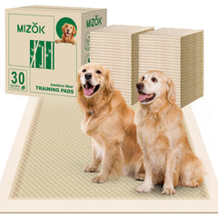 MIZOK pee pads 36x36 on floor offer a large training surface to protect floors