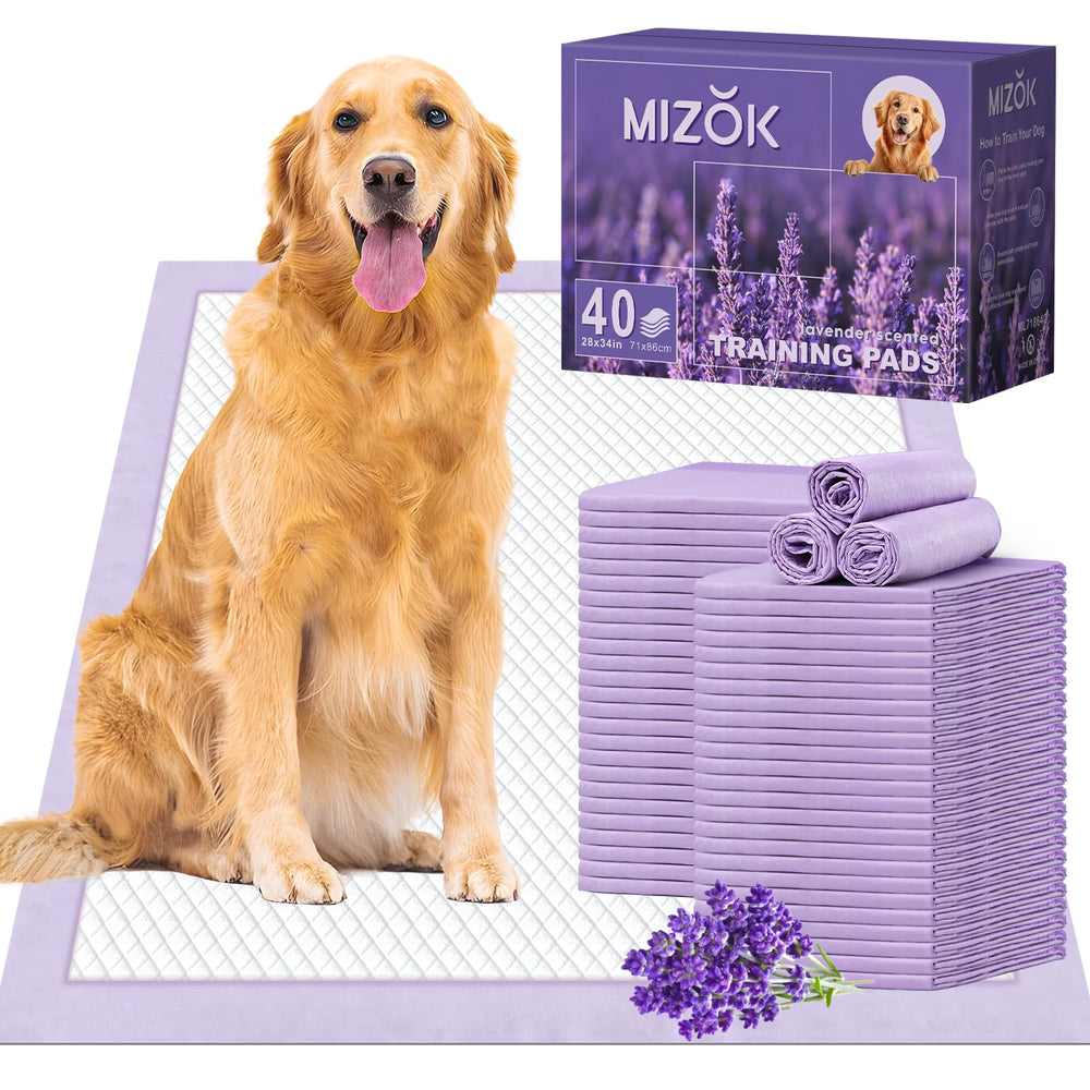 MIZOK Puppy Pads lavender-scented edge shows odor control for a fresher home