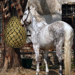 MJFSGYO horse munching with hay net promotes interactive feeding.